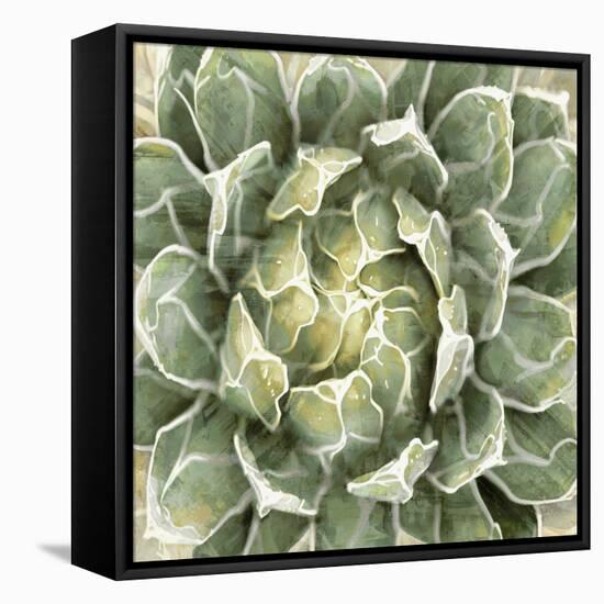 Succulent Verde III-Lindsay Benson-Framed Stretched Canvas