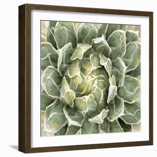 Succulent Verde III-Lindsay Benson-Framed Art Print