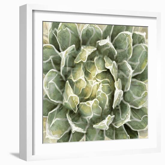 Succulent Verde III-Lindsay Benson-Framed Art Print