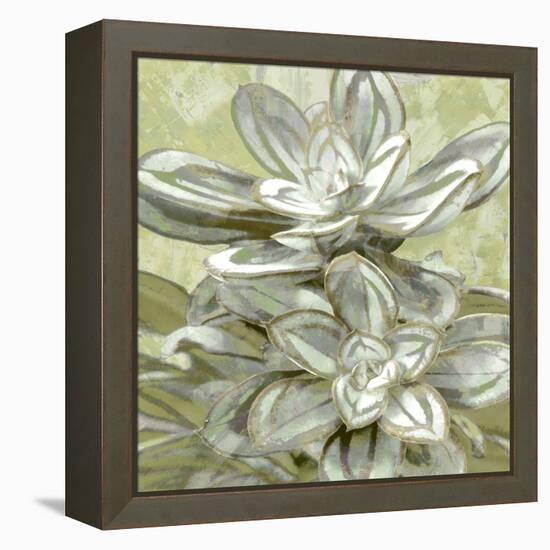 Succulent Verde IV-Lindsay Benson-Framed Stretched Canvas