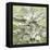 Succulent Verde IV-Lindsay Benson-Framed Stretched Canvas