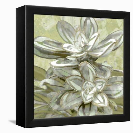 Succulent Verde IV-Lindsay Benson-Framed Stretched Canvas