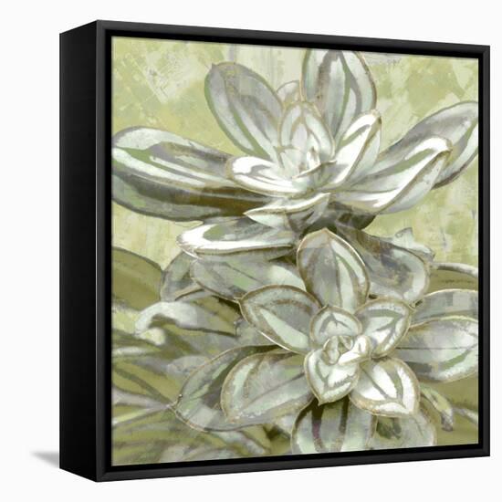 Succulent Verde IV-Lindsay Benson-Framed Stretched Canvas