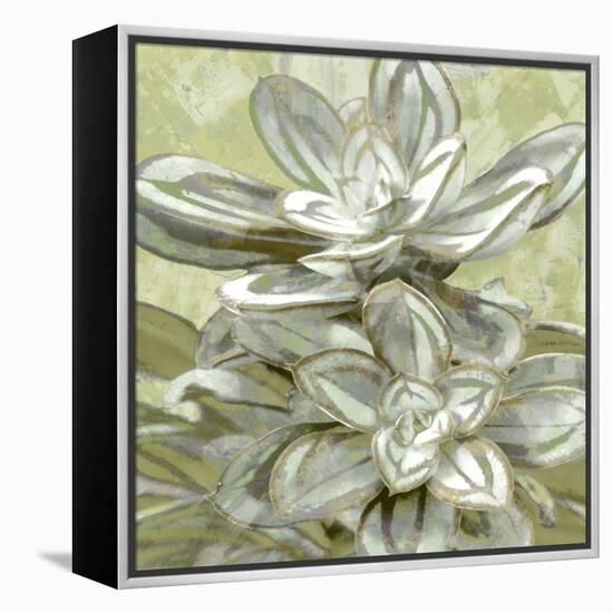 Succulent Verde IV-Lindsay Benson-Framed Stretched Canvas