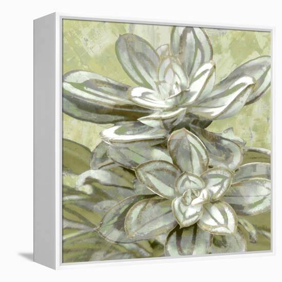 Succulent Verde IV-Lindsay Benson-Framed Stretched Canvas