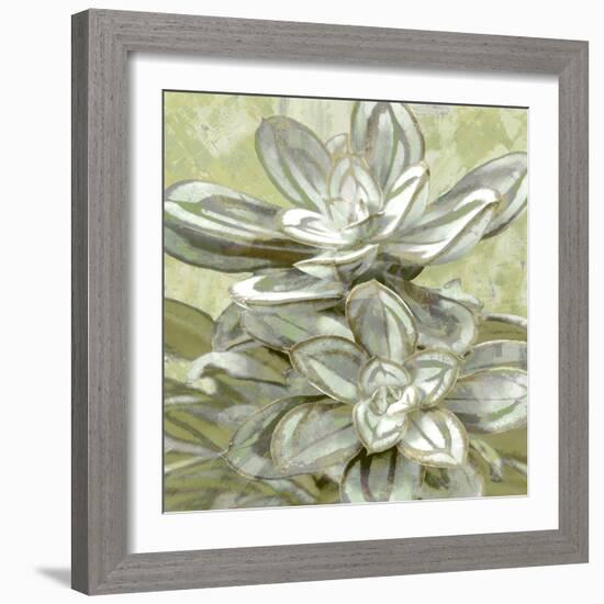 Succulent Verde IV-Lindsay Benson-Framed Art Print