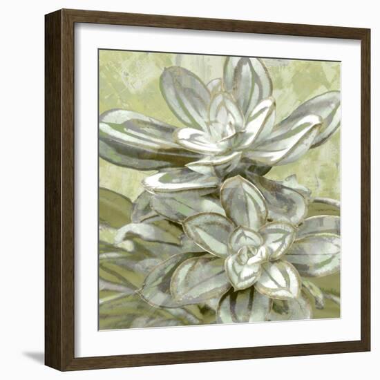 Succulent Verde IV-Lindsay Benson-Framed Art Print