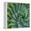 Succulent with Spiked Leaves-Micha Pawlitzki-Framed Premier Image Canvas