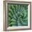 Succulent with Spiked Leaves-Micha Pawlitzki-Framed Photographic Print