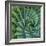 Succulent with Spiked Leaves-Micha Pawlitzki-Framed Photographic Print