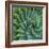 Succulent with Spiked Leaves-Micha Pawlitzki-Framed Photographic Print