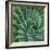 Succulent with Spiked Leaves-Micha Pawlitzki-Framed Photographic Print