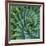 Succulent with Spiked Leaves-Micha Pawlitzki-Framed Photographic Print