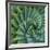 Succulent with Spiked Leaves-Micha Pawlitzki-Framed Photographic Print