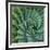 Succulent with Spiked Leaves-Micha Pawlitzki-Framed Photographic Print