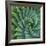 Succulent with Spiked Leaves-Micha Pawlitzki-Framed Giclee Print