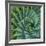 Succulent with Spiked Leaves-Micha Pawlitzki-Framed Giclee Print