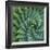 Succulent with Spiked Leaves-Micha Pawlitzki-Framed Giclee Print