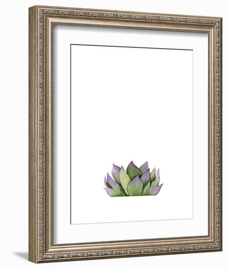 Succulent-Ann Solo-Framed Art Print