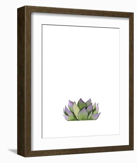 Succulent-Ann Solo-Framed Art Print