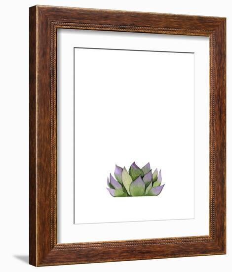 Succulent-Ann Solo-Framed Art Print