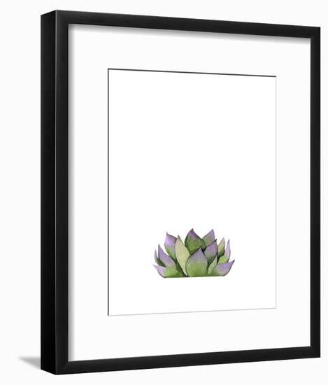 Succulent-Ann Solo-Framed Art Print