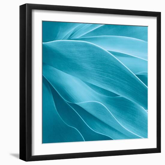 Succulent-Jan Bell-Framed Photographic Print