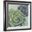 Succulents I Crop-Wellington Studio-Framed Art Print