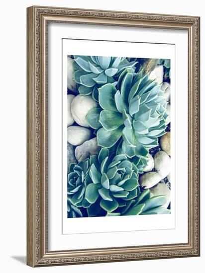 Succulents no words-Urban Epiphany-Framed Art Print