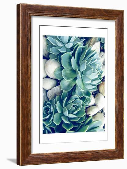 Succulents no words-Urban Epiphany-Framed Art Print