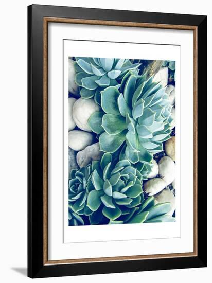 Succulents no words-Urban Epiphany-Framed Art Print