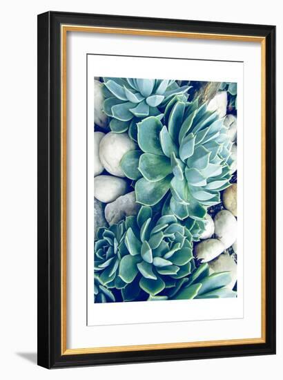 Succulents no words-Urban Epiphany-Framed Art Print