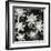 Succulents, Point Lobos, 1951-Brett Weston-Framed Photographic Print