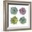 Succulents-Sandra Jacobs-Framed Giclee Print