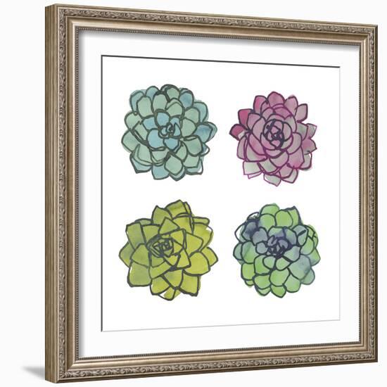 Succulents-Sandra Jacobs-Framed Giclee Print