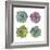 Succulents-Sandra Jacobs-Framed Giclee Print