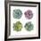 Succulents-Sandra Jacobs-Framed Giclee Print