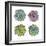 Succulents-Sandra Jacobs-Framed Giclee Print