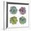 Succulents-Sandra Jacobs-Framed Giclee Print