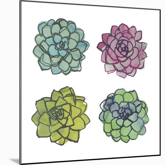 Succulents-Sandra Jacobs-Mounted Giclee Print