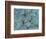 Succulents-Darrell Gulin-Framed Photographic Print