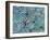 Succulents-Darrell Gulin-Framed Photographic Print