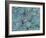 Succulents-Darrell Gulin-Framed Photographic Print