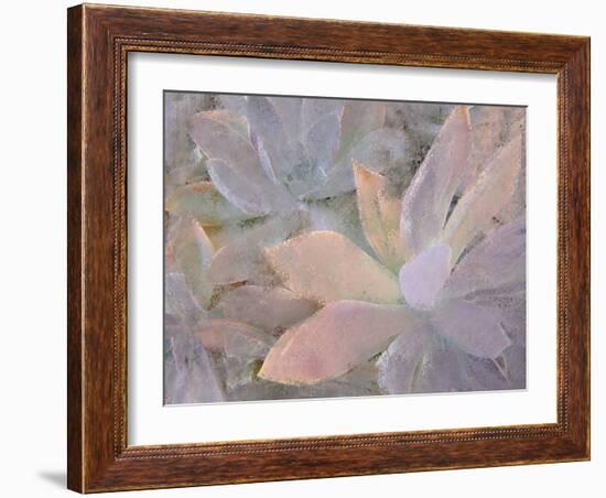 Succulents-Kimberly Allen-Framed Photographic Print