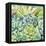 Succulents-Leslie Trimbach-Framed Stretched Canvas