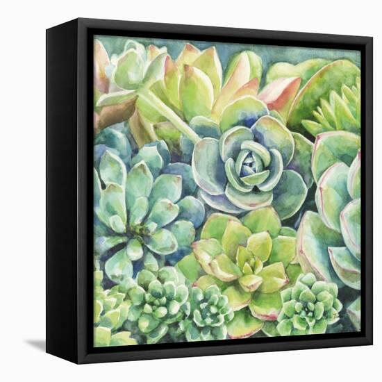 Succulents-Leslie Trimbach-Framed Stretched Canvas