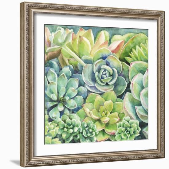 Succulents-Leslie Trimbach-Framed Art Print