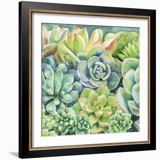 Succulents-Leslie Trimbach-Framed Art Print
