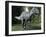 Suchomimus Dinosaur, Artwork-Roger Harris-Framed Photographic Print