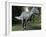 Suchomimus Dinosaur, Artwork-Roger Harris-Framed Photographic Print